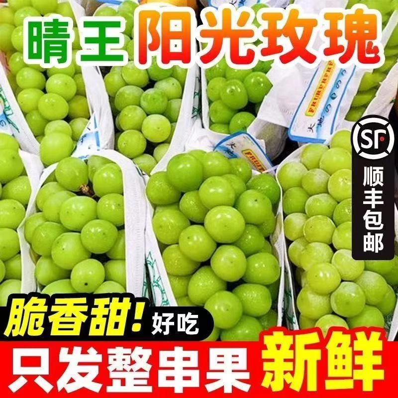 【顺丰发货】正宗阳光玫瑰葡萄新鲜应季嘎嘎甜多汁水果