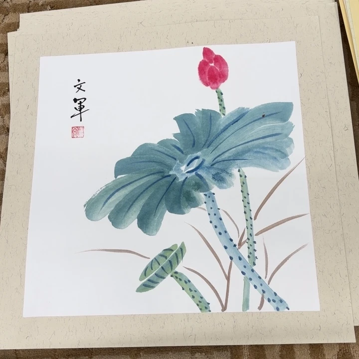 国画花鸟的翅膀50.50
