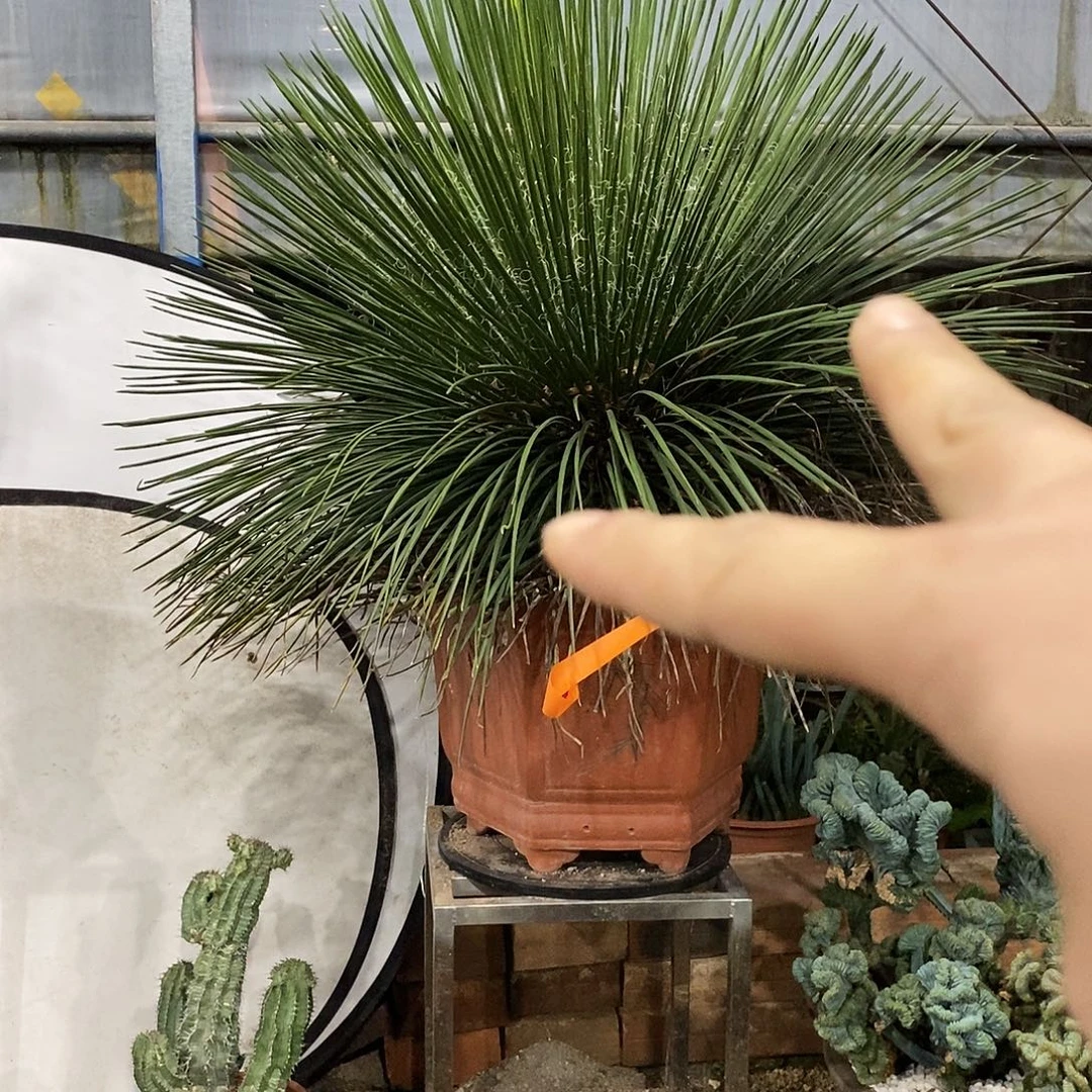 叫***仔09000099000000000