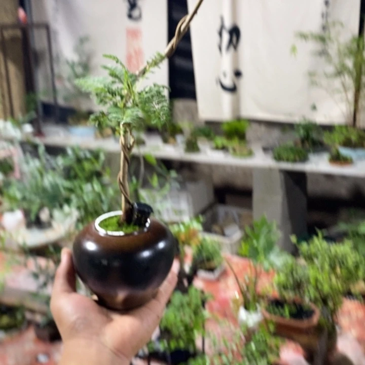 仁***周完全开放退款拉黑一物一拍82