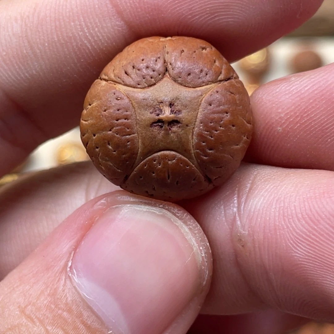 凤眼菩提吊坠20➕5星福利