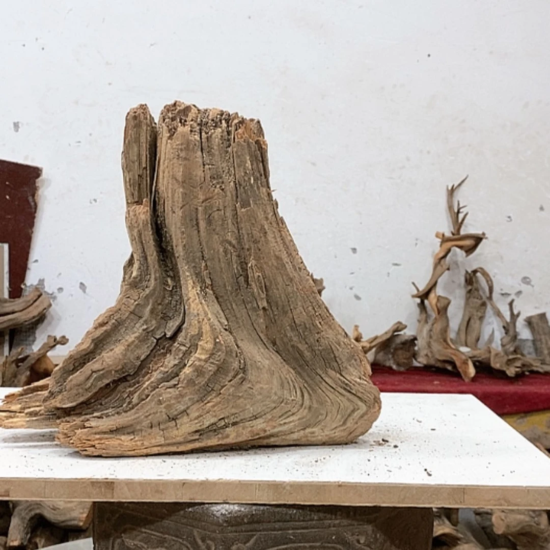 【闪购商品】柏木7***哥我们都是好孩子