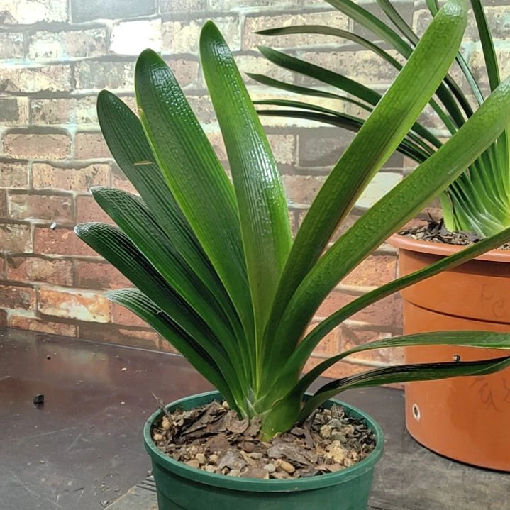 完全开放111111111