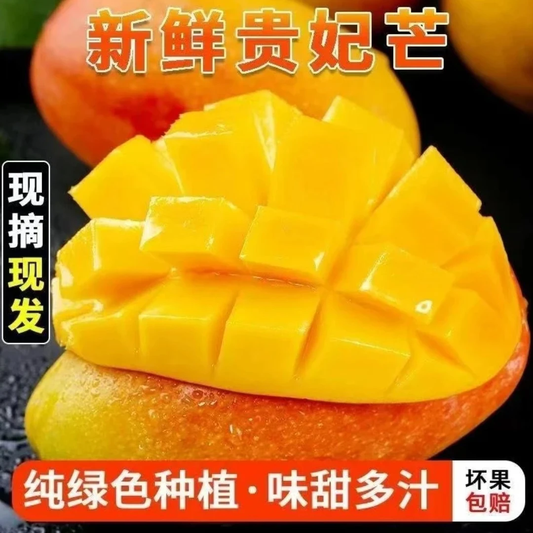 【广西贵妃芒】新鲜香甜爆汁采摘热带水果当季三亚芒果包邮a