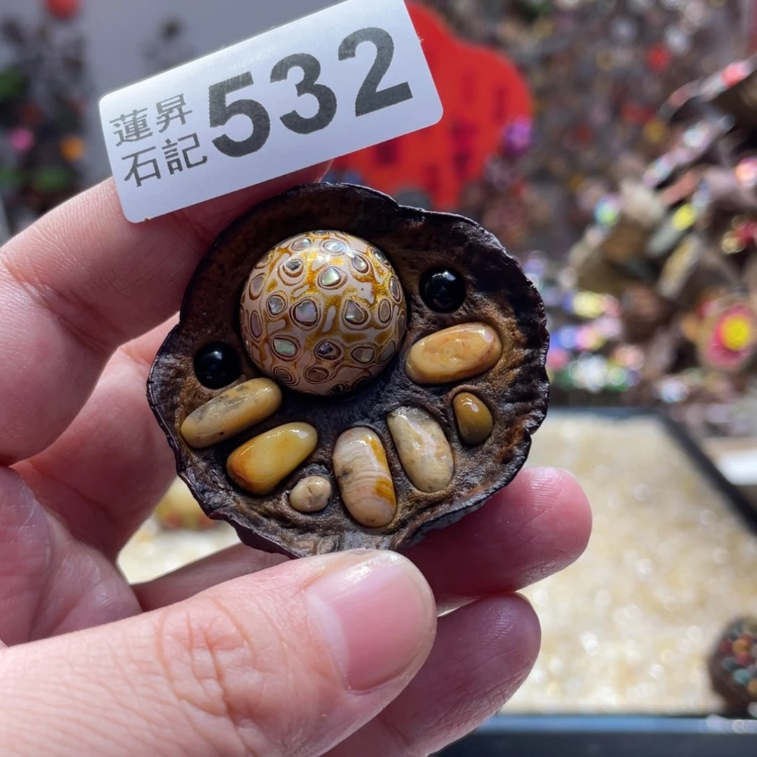 核桃木/黑胡桃（胡桃木）532