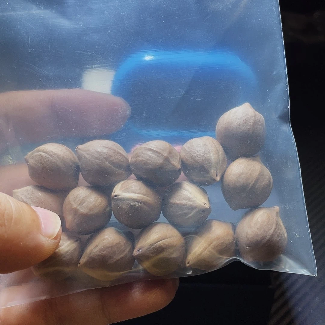 橄榄核吊坠橄榄核素串