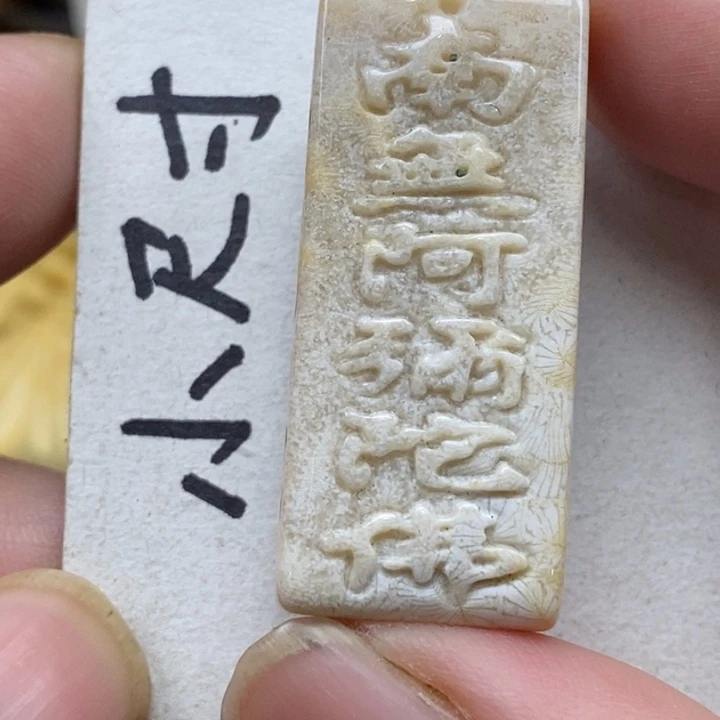 硅化珊瑚（珊瑚玉）未镶嵌颈饰