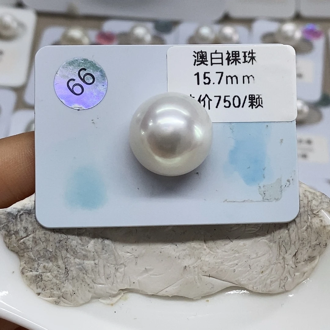 未镶嵌澳白单颗15.7海水珍珠