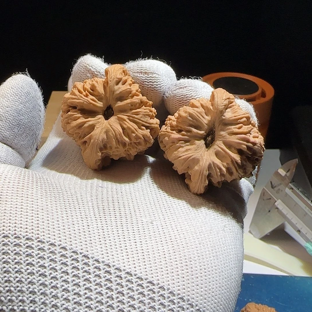 文玩核桃把件天**～41凹底