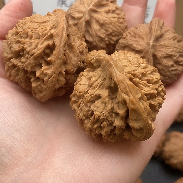 奋***煌大大大大大大官帽宫灯黄