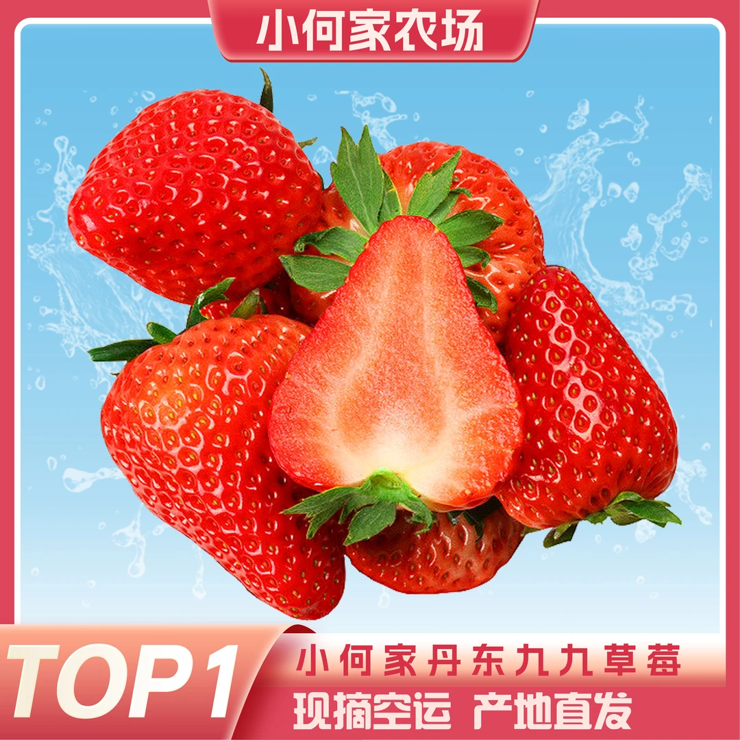 「正宗丹东草莓」丹东九九99红颜牛奶大草莓新鲜香甜产区现摘空运