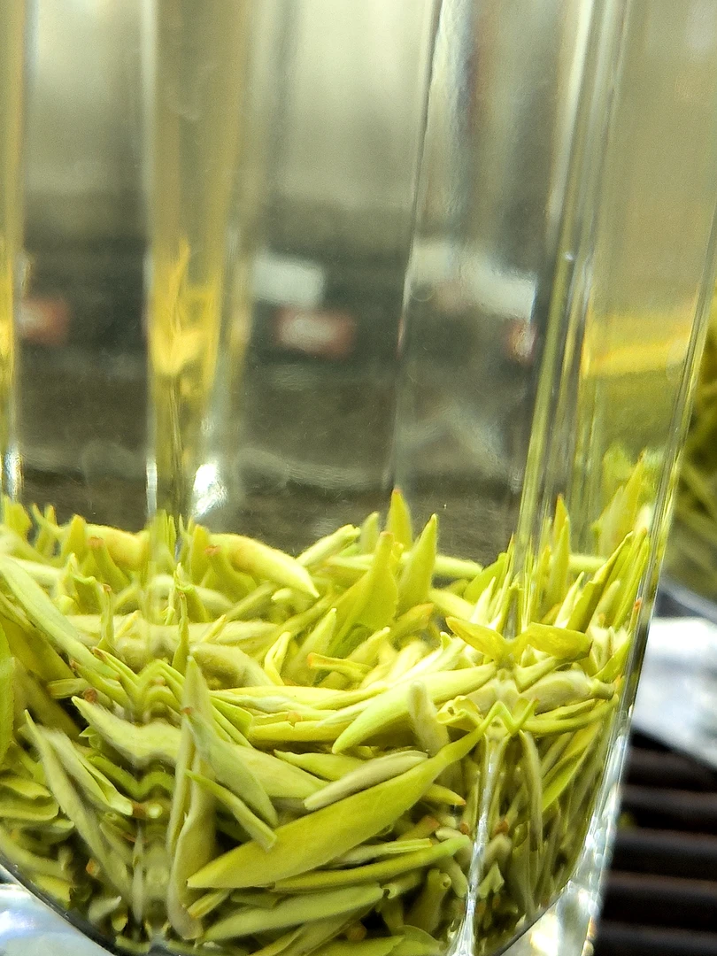 2025头春头采明前毛尖，芽头短小肥壮，汤色香亮，口感醇厚