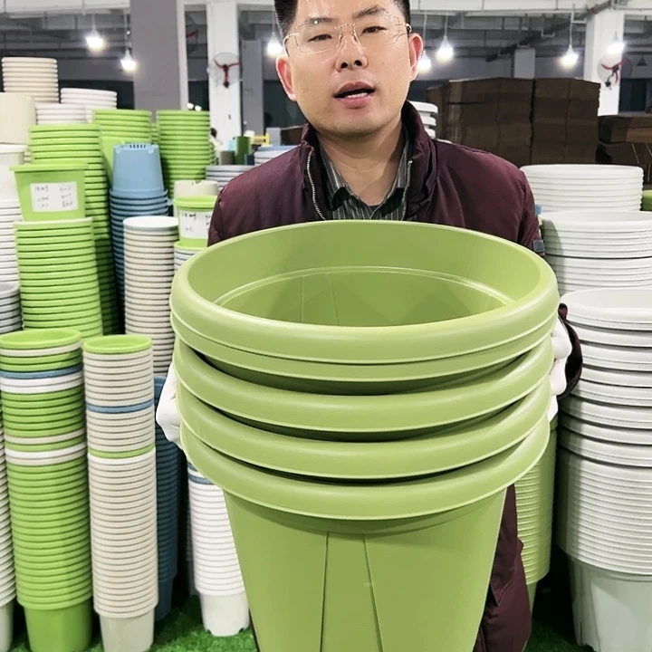 清仓青山口40高34果绿5只无托