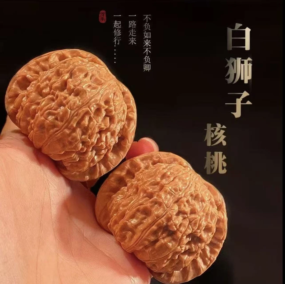 （新果头货）山地老树红皮白狮子（球白）