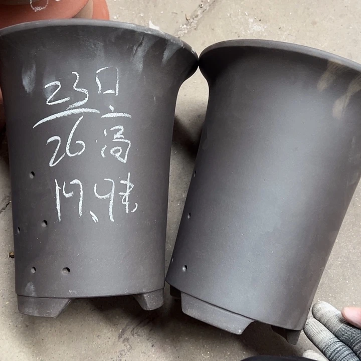 咋咋咋三只松鼠周三周四