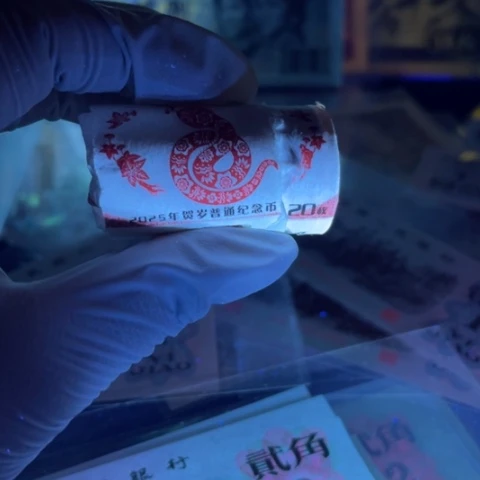 2025年蛇年贺岁币蛇币