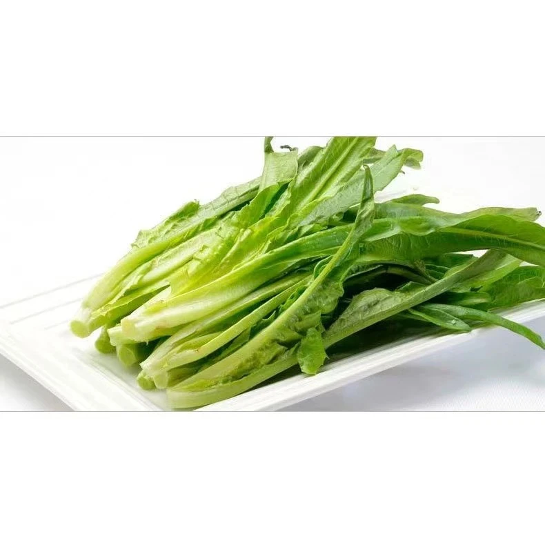 油麦菜200g±5g/份