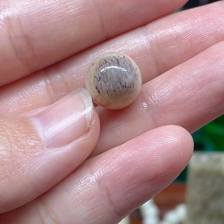 辛***木陶瓷12.2多宝珠一颗配珠