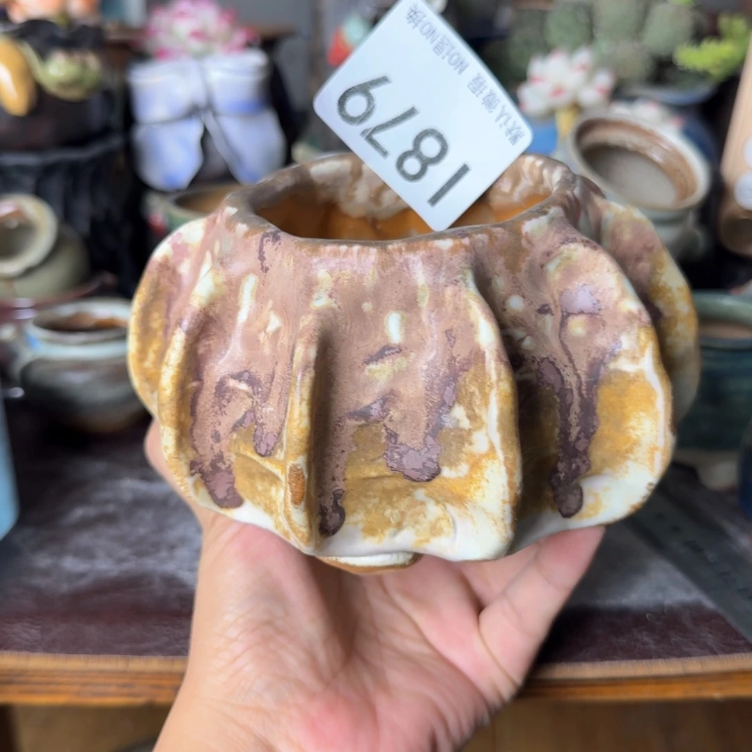 重庆小燕子欢迎大家879