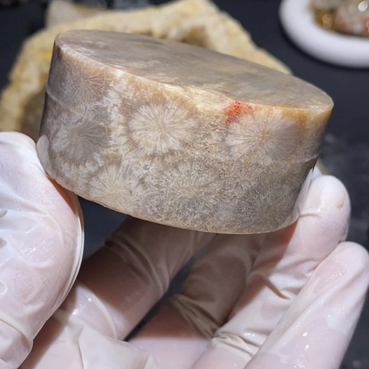 【闪购商品】未镶嵌珊瑚玉硅化玉