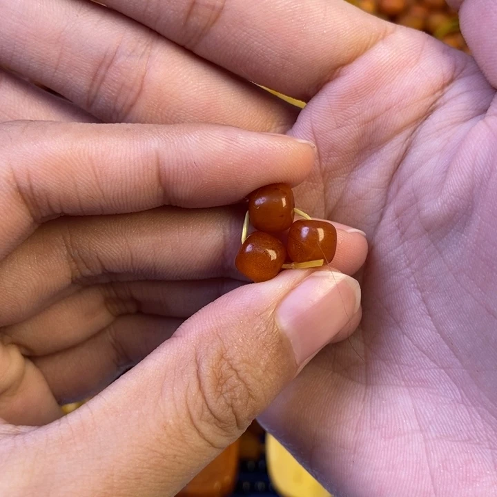 未镶嵌琥珀珠宝奇石