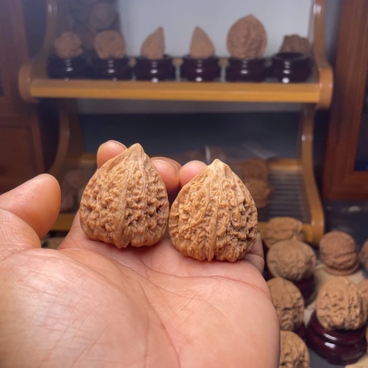 36全品凹底塔尖未打底