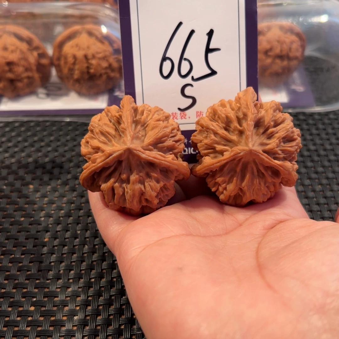 文玩核桃把件665号帝王正奔尺寸45全品