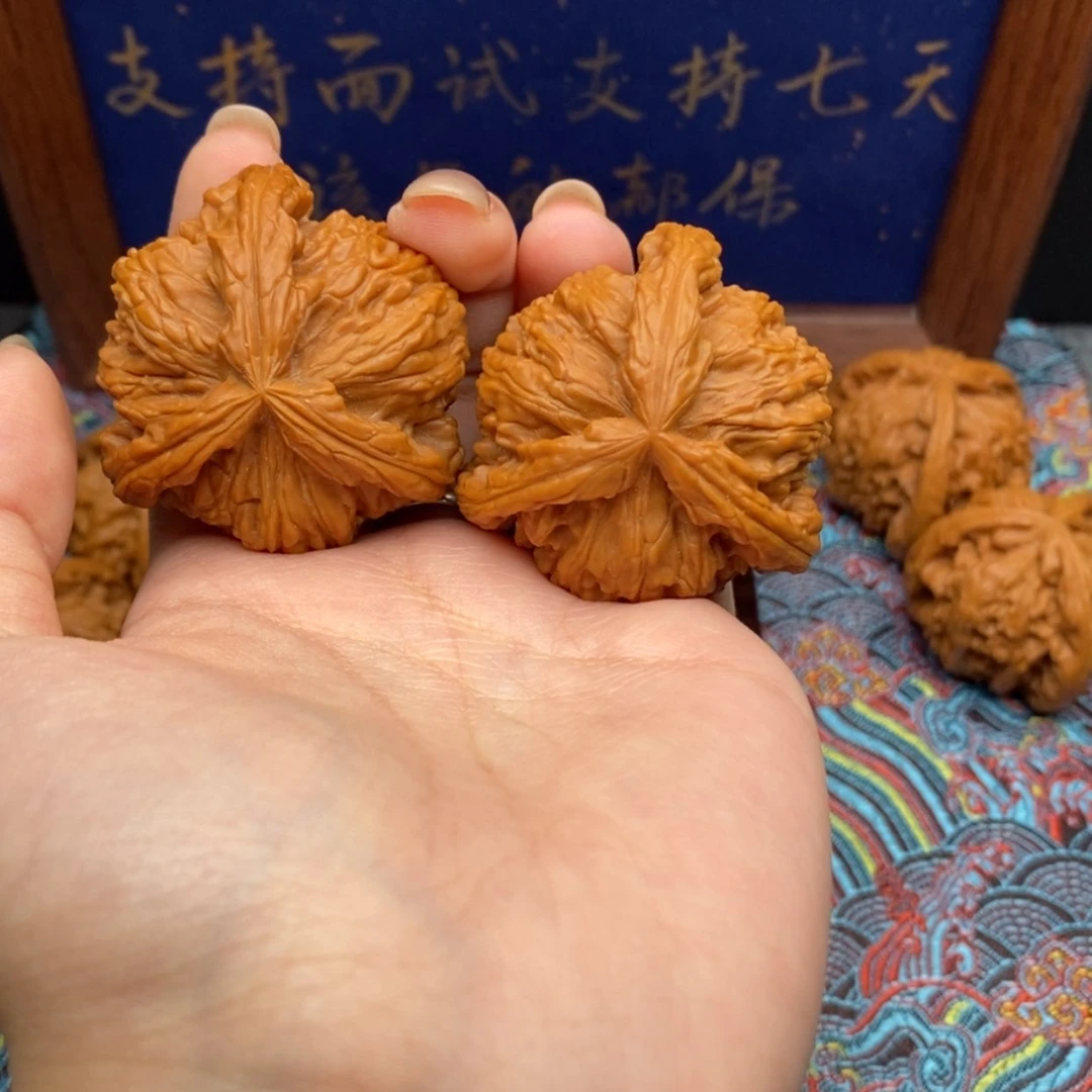 【闪购商品】小*仔白狮