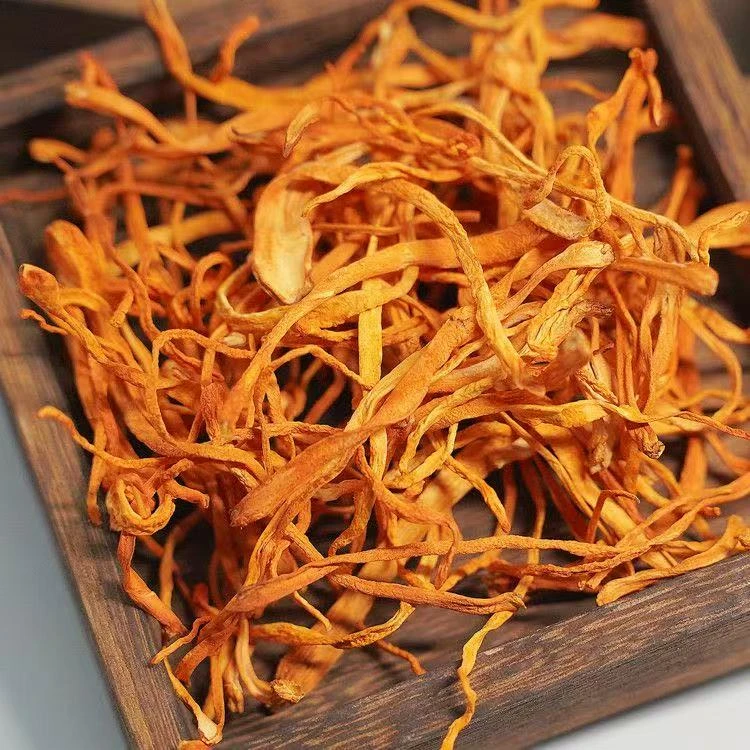 【凉都阿河】代收 虫草花 无硫