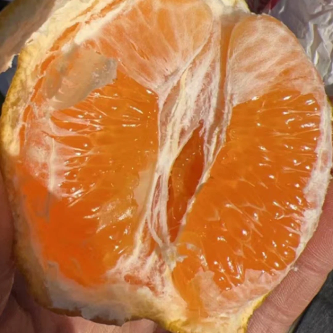 春见耙耙柑9斤装
