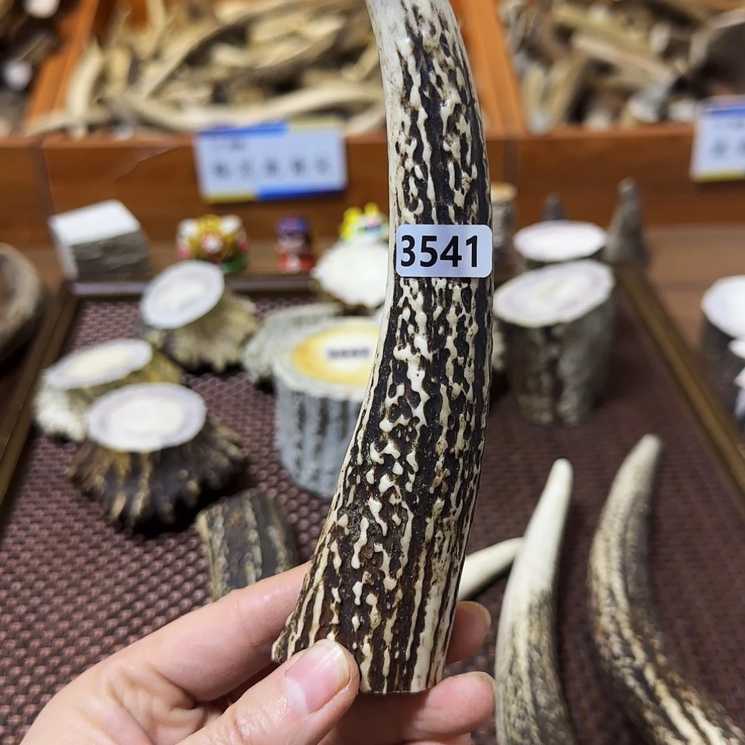 鹿骨手串/手链3541梅花鹿尖