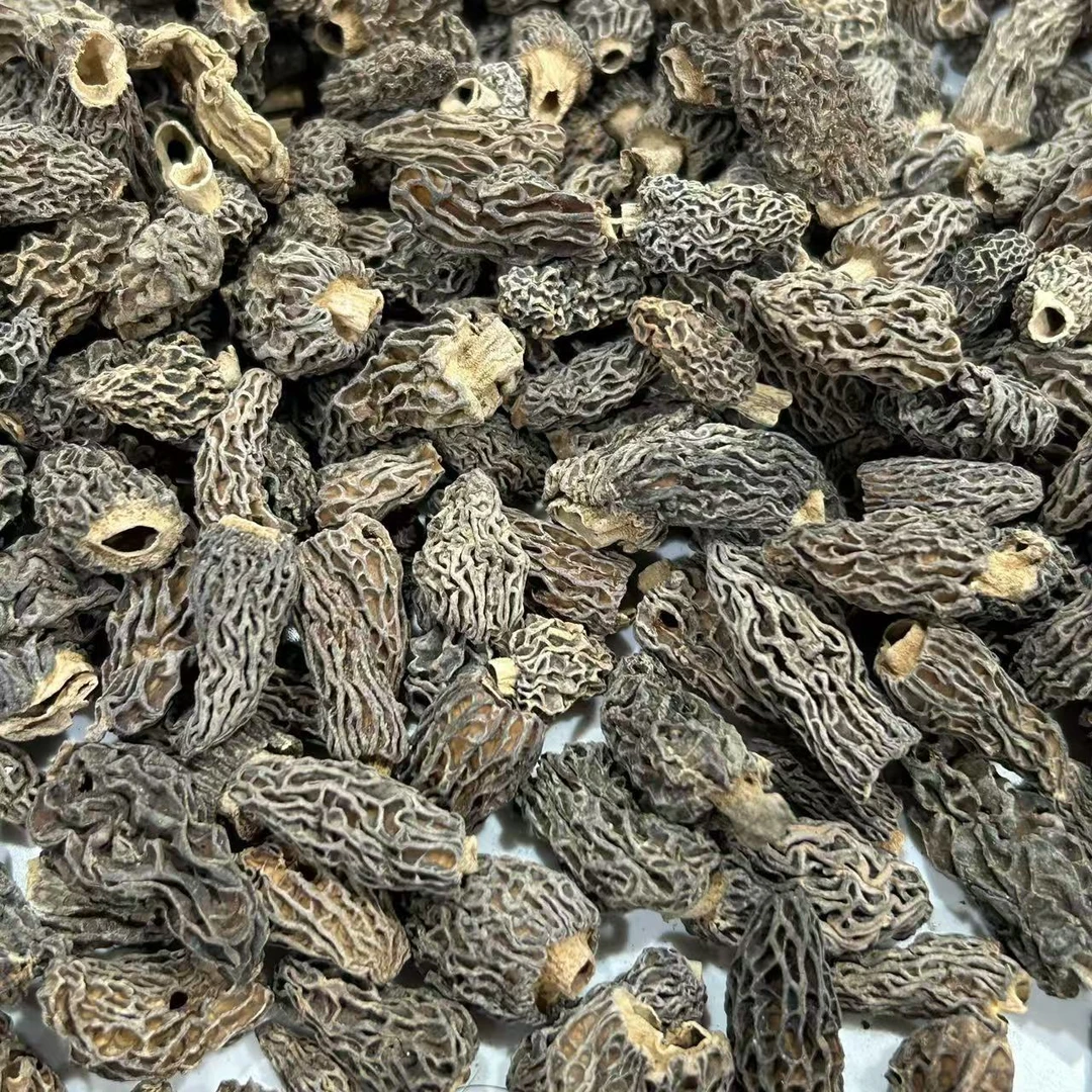 【飞飞精选】自然生长羊肚菌 香味浓郁