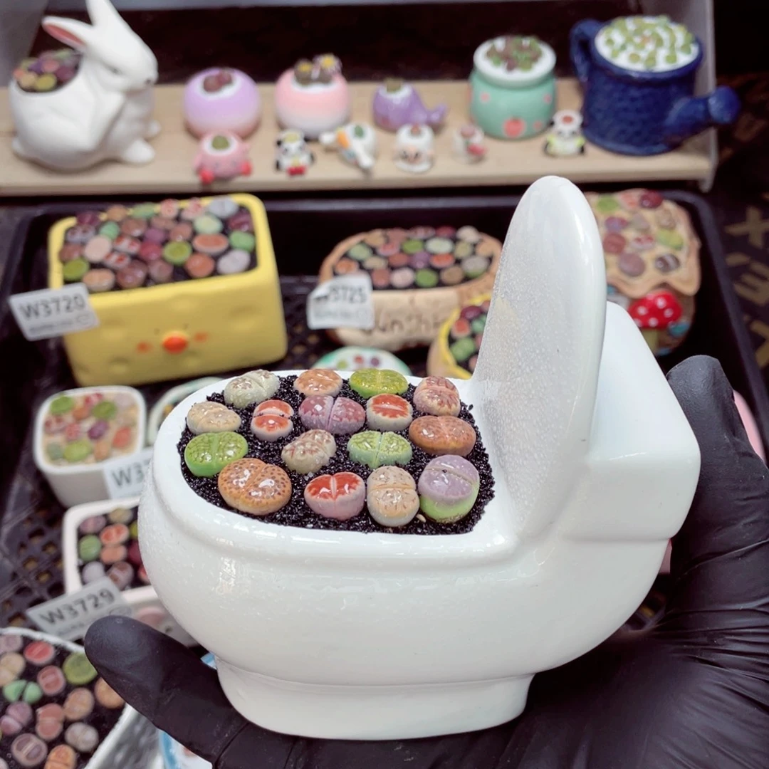 夜间零下地区拍保温箱w3735