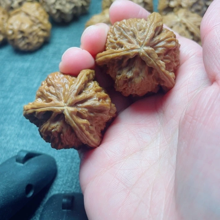 ～***～手工三棱白狮子三棱