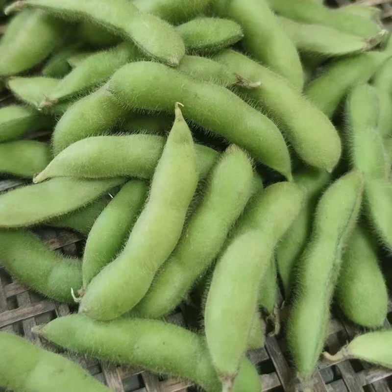 江西农家本地新鲜大青毛豆角带壳青豆嫩黄豆大豆豆荚商用现摘蔬菜
