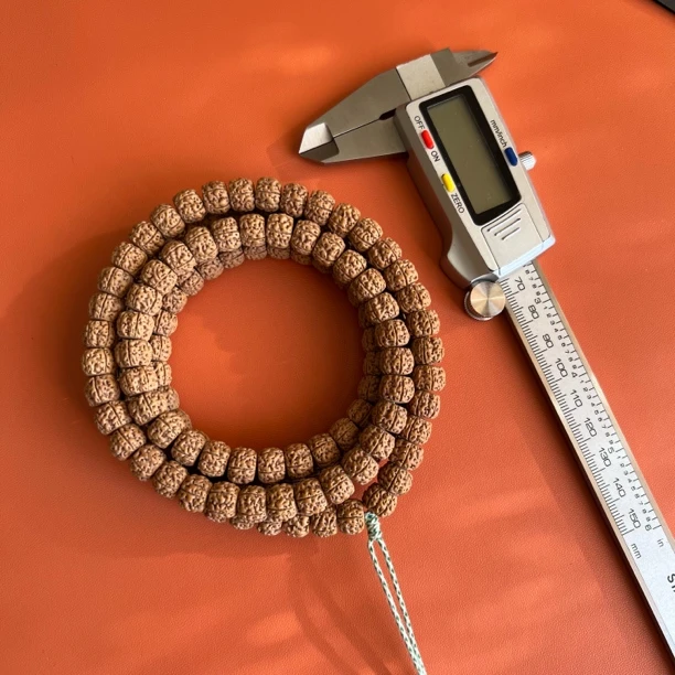 【龙切盘龙王】·郎里朗气出品 稀有物种 高油高密 原皮原色 瓣线直