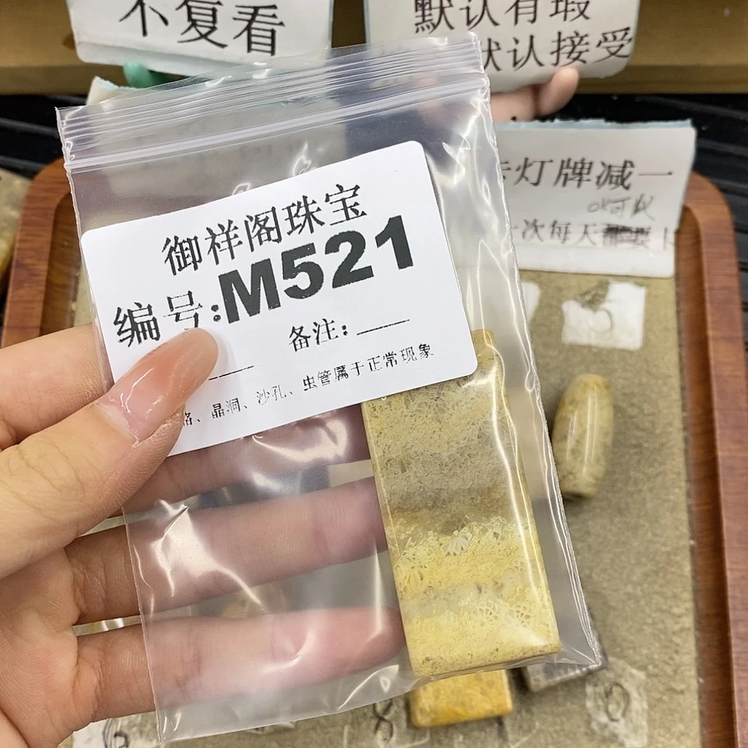 硅化珊瑚（珊瑚玉）未镶嵌颈饰༄****