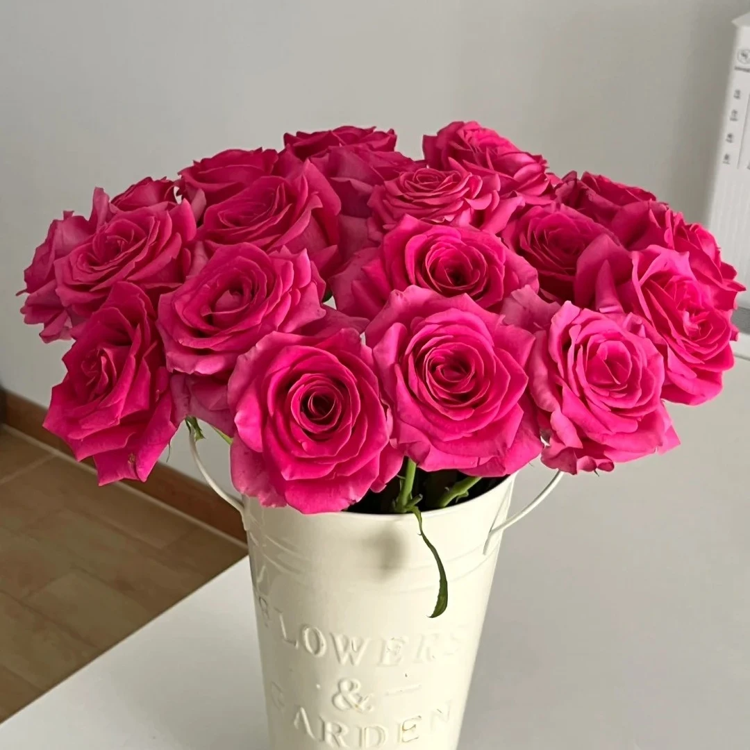 【云台优选】弗洛伊德+洛神玫瑰组合  两单升级京东冷链/德邦空运