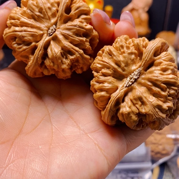 @***）文玩核桃把件粗筋