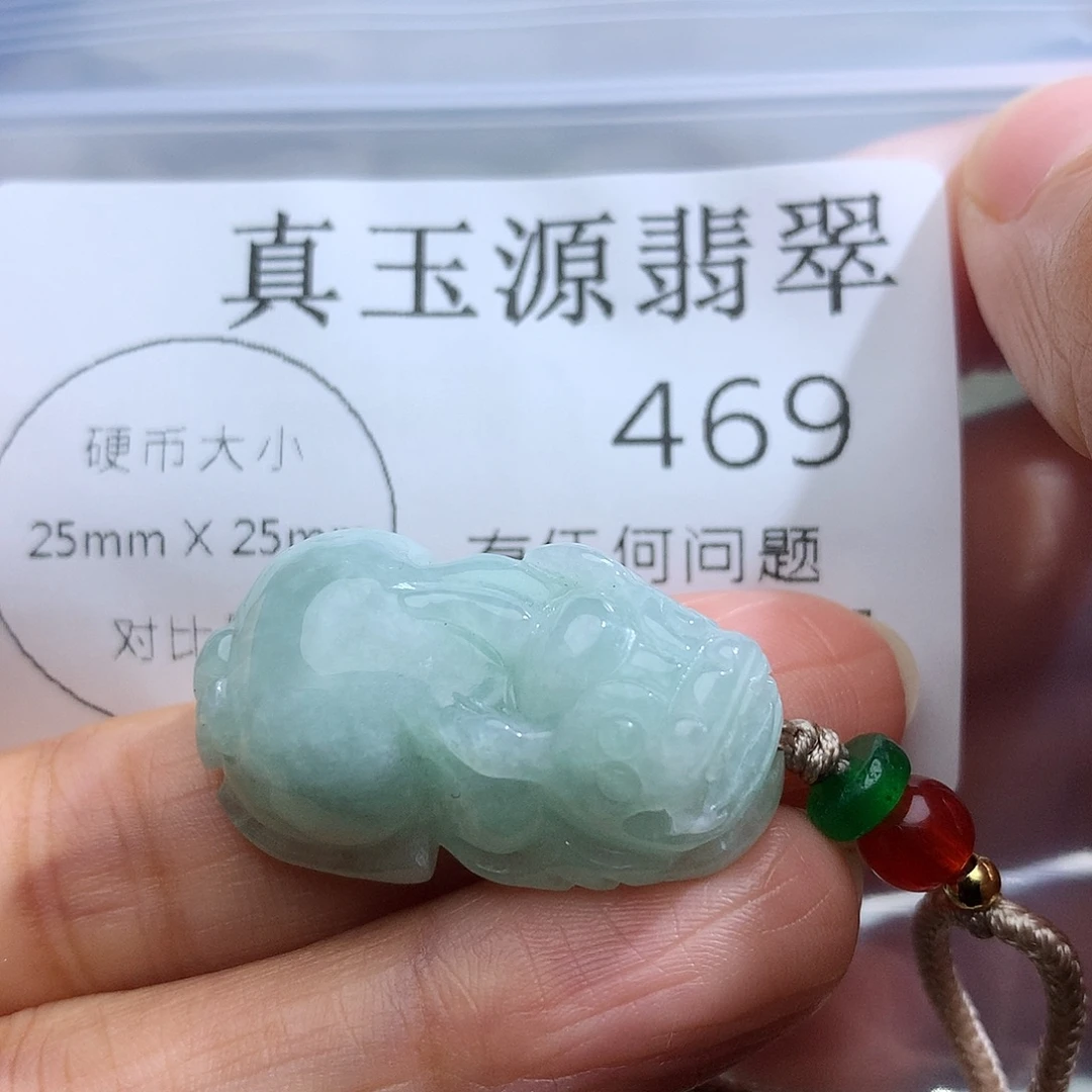 翡翠未镶嵌颈饰469