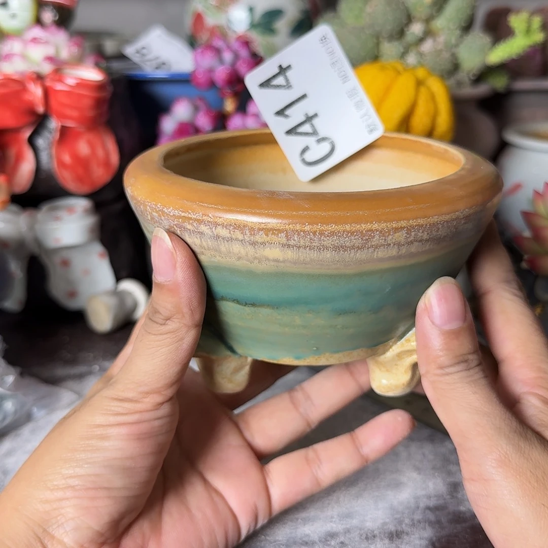 重庆小燕子欢迎大家414