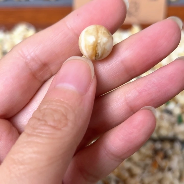 蜜蜡未镶嵌裸石12.3mm一个