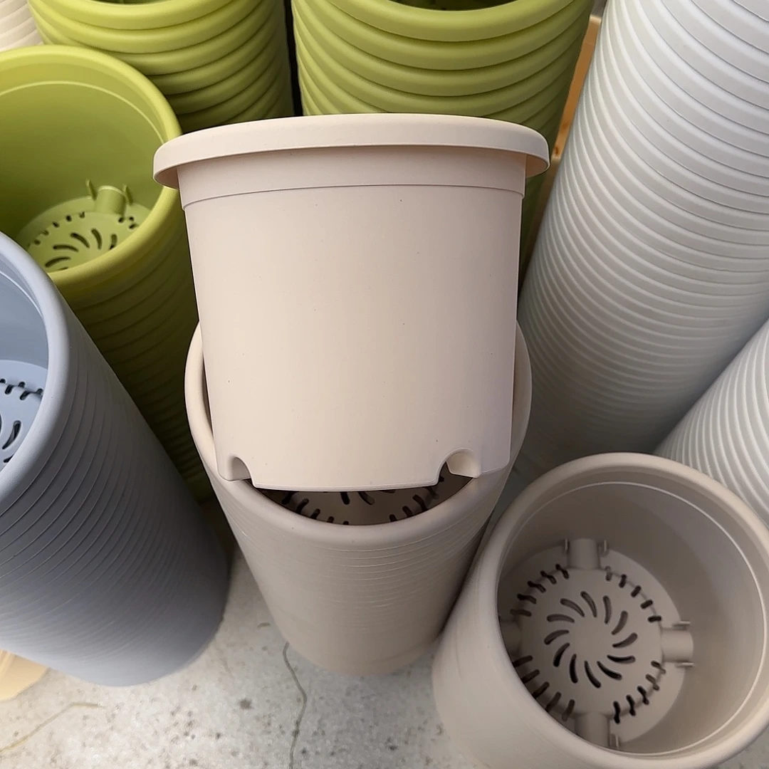 微瑕3号10个无托，灰白