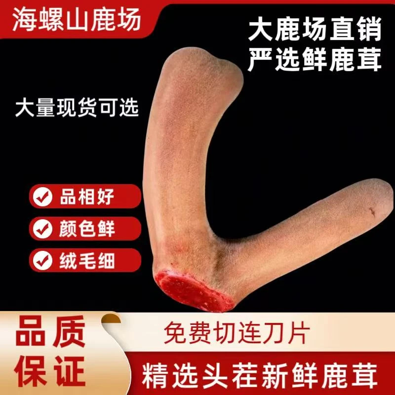 鲜鹿茸头茬鹿茸泡酒专用整枝