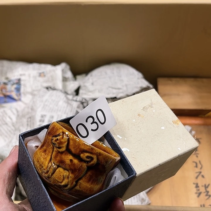 茶宠我们都在努力着改变自己