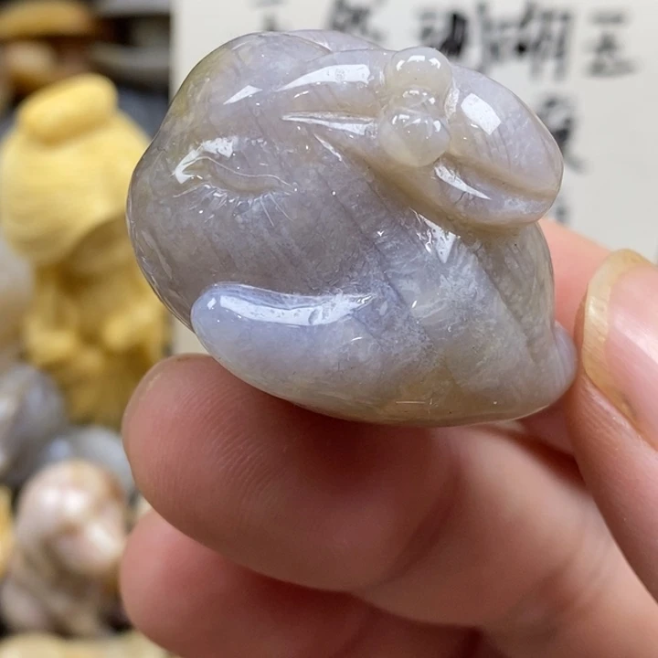 硅化珊瑚（珊瑚玉）未镶嵌颈饰