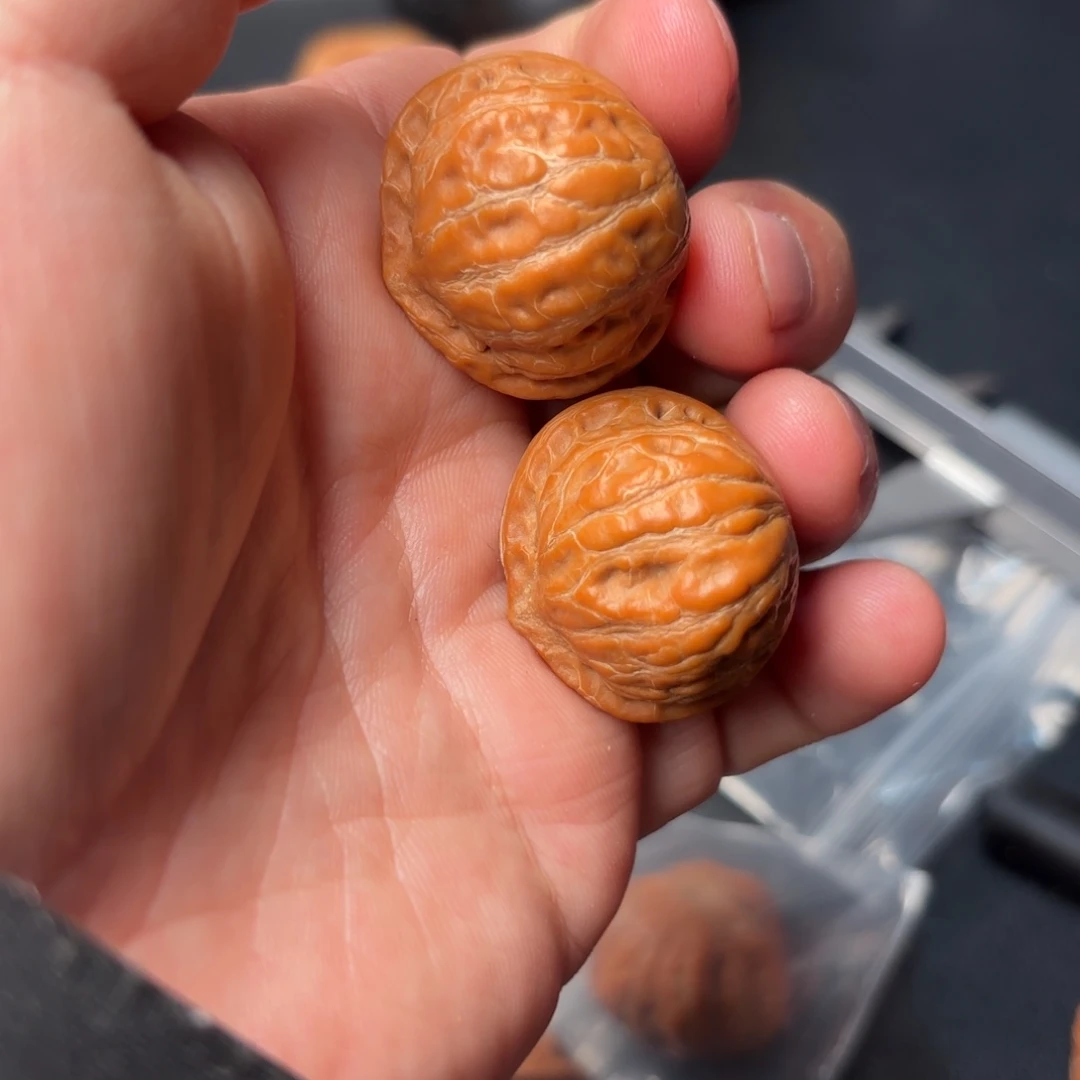 文玩核桃把件21000000