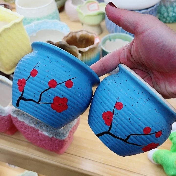 多肉植物陶瓷花盆