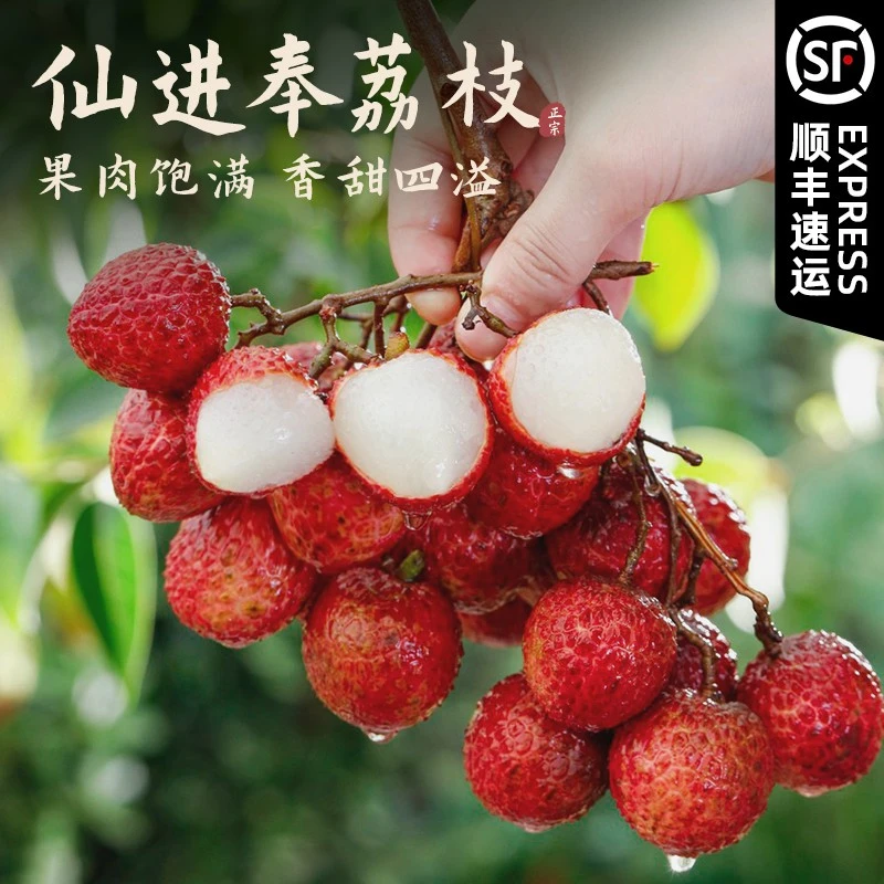 【荔枝皇后仙进奉】顺丰冷链广西正宗老树新鲜采摘产地直发纯甜无酸