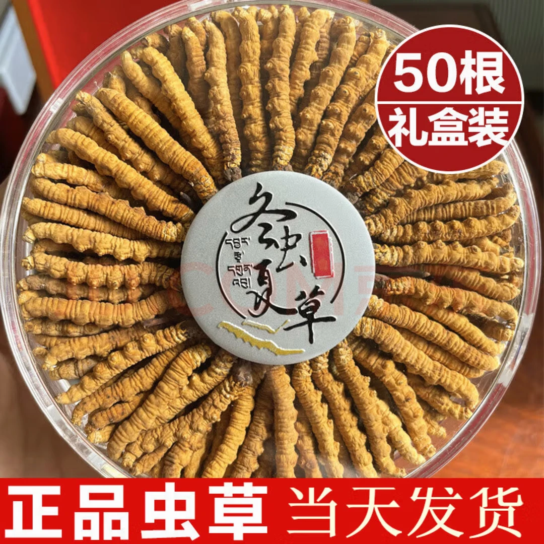 3根1克虫草王1盒 共50根 中秋送礼 25年头茬干冬虫夏草